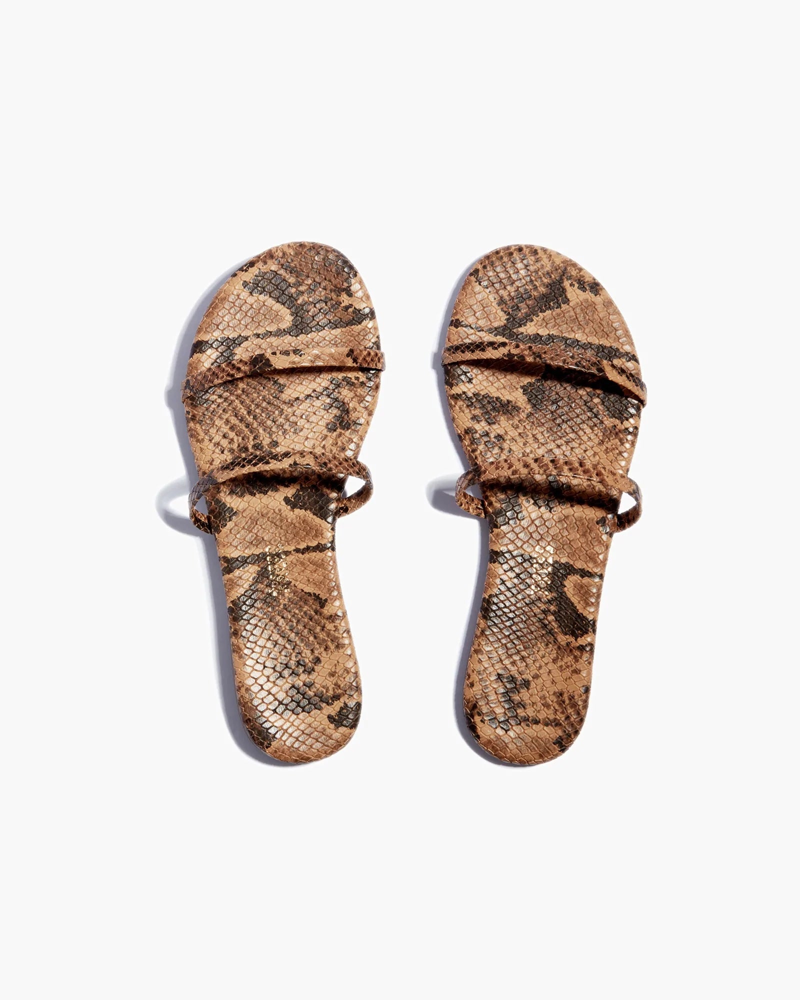 Women\'s TKEES Gemma Vegan Animal Sandals Snake | 97162CBPR