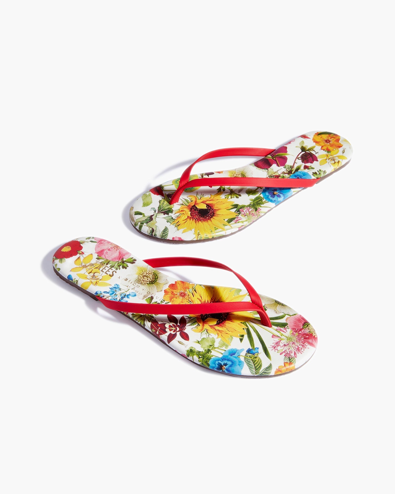 Women's TKEES TKEES x Alice + Olivia Lily Flip Flops Multicolor | 92631QPDK