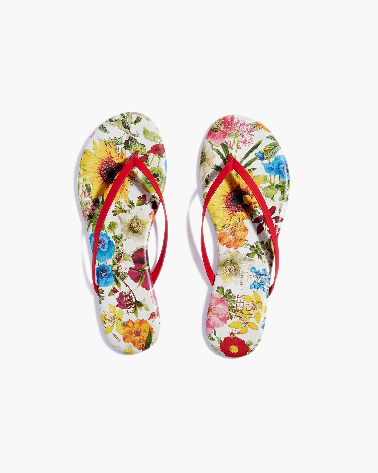 Women's TKEES TKEES x Alice + Olivia Lily Flip Flops Multicolor | 92631QPDK